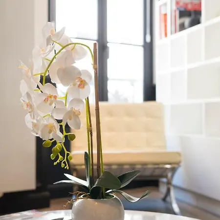 Luxury In Saint-germain דירה פריז